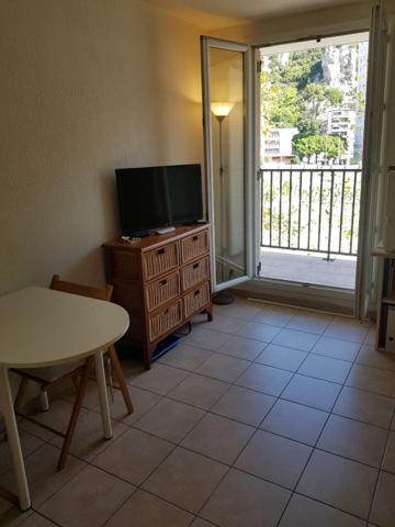 Appartement Nice 1 pièce