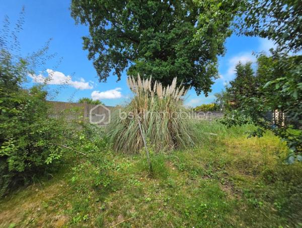 Limite Coubron et la forêt de Bondy, dans un quartier pavillonnaire, maison de plain pied sur sous-sol édifié en 1964 de 100m² habitables et 175m² utiles sur une parcelle de 500m².

LES ATOUTS DU BIEN
• Plain pied surélevé (plateau de 75m²)
• Hauteur sous plafond sous-sol 2m
• Sous-sol traversant idéal pour stationner véhicules dans le jardin arrière
• Terrain devant 140m², 7 véhicules possible
• Jardin arrière 270m² sans VIS-A-VIS
• Panneau solaire et pompe à chaleur AIR / EAU 2025
• Installation climatisation réversible

AGENCEMENT
Rez-de-jardin (75m²)
• Garage traversant
• Buanderie / chaufferie

Etage (75m²)
• Entrée
• Cuisine
• Séjour double (30m²) avec cheminée
• Couloir
• 2 chambres (9,30/9,50m²)
• Salle d'eau
• WC

Combles (25m²)
• Un bureau
• Une chambre

INFORMATIONS TECHNIQUES
• Terrain : façade 10m x profondeur 50m
• Double vitrage PVC avec volets
• Tableau électrique récent
• DPE en D
• Double exposition EST / OUEST
• Ballon d'eau chaude thermodynamique

INFORMATIONS FINANCIERES
• Taxe foncière 1696 euros

Ludovic MOREL
Votre Partenaire Immobilier
Depuis 2010

•••
