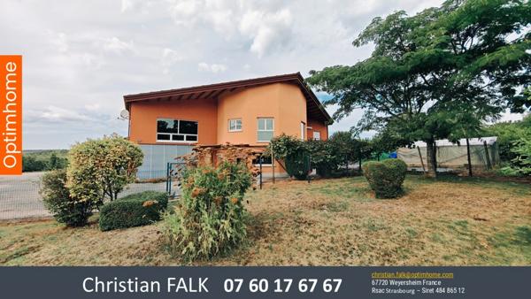Ensemble immobilier professionnel avec hall de 600 m² et logement de service – Rottelsheim