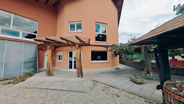 Ensemble immobilier professionnel avec hall de 600 m² et logement de service – Rottelsheim