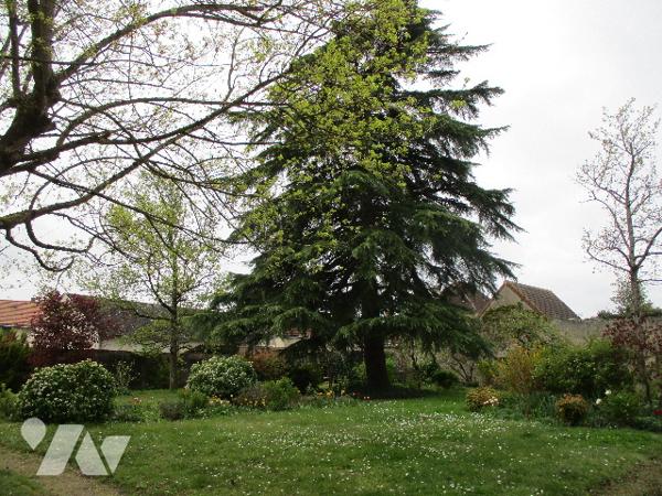 En centre-ville, Maison de Maître