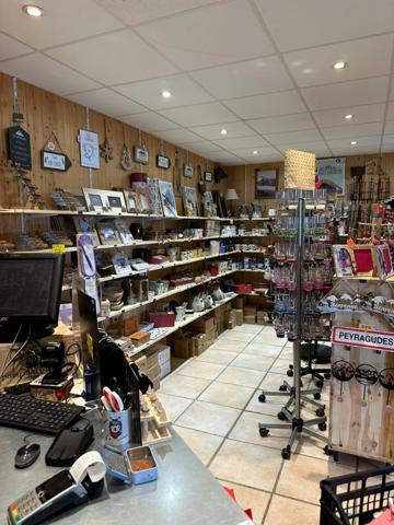 Mur commerciaux de 113m2 avec terrasse de 50m2