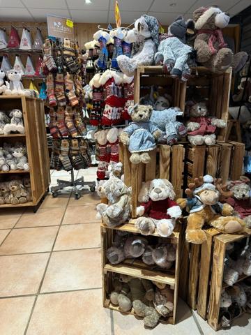 Mur commerciaux de 113m2 avec terrasse de 50m2