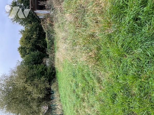 A VENDRE maison mitoyenne en briques avec entrée cochère.