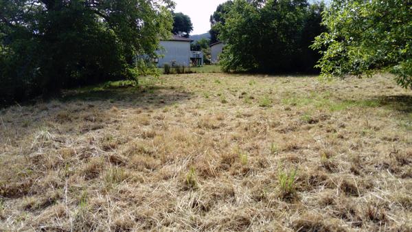 TERRAIN CONSTRUCTIBLE 59990  AUSSILLON (81200)