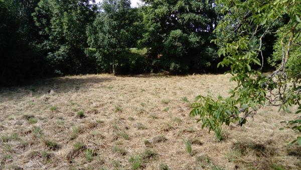 TERRAIN CONSTRUCTIBLE 59990  AUSSILLON (81200)