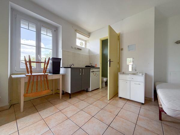 A VENDRE / ANGERS - Propriété d'exception de 246 m² avec 5 studios et terrain de 3 700 m² !