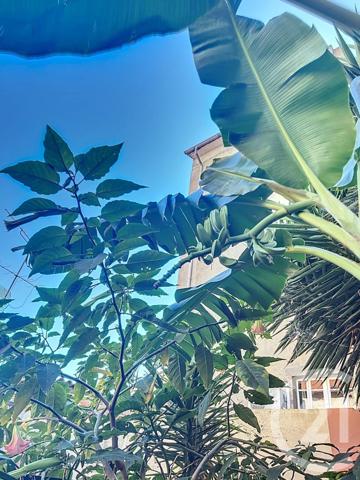 Appartement F3 à vendre  3 pièces - 115,50 m2 AMELIE LES BAINS PALALDA - 66