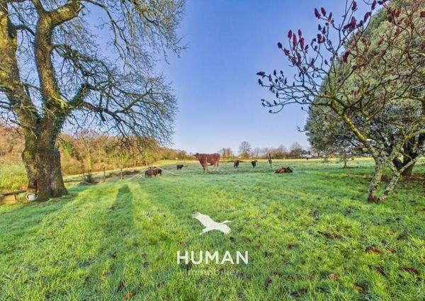 Maison à vendre |  Baud |  5 pièces | 160 m²