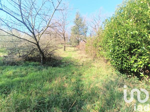 Terrain à vendre 2 538 m² Châteauneuf