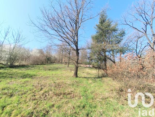 Terrain à vendre 2 538 m² Châteauneuf