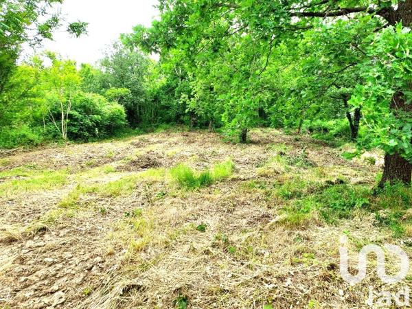 Terrain à vendre 2 538 m² Châteauneuf