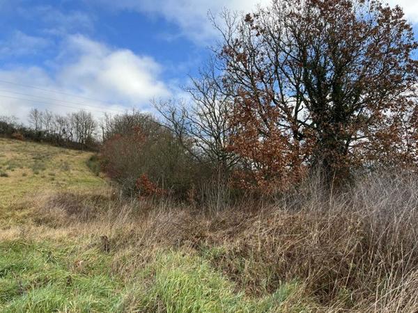 Terrain à vendre |  Lamazère |  1731 m²