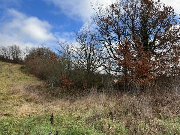 Terrain à vendre |  Lamazère |  1731 m²