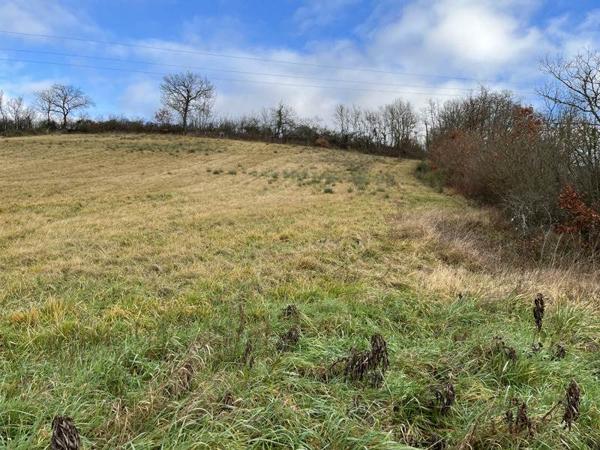 Terrain à vendre |  Lamazère |  1731 m²