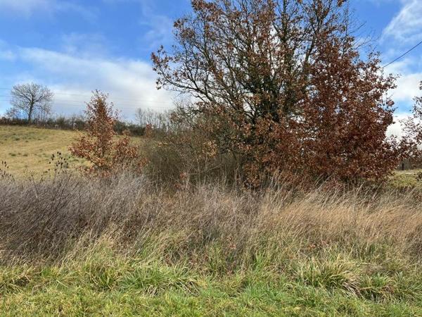 Terrain à vendre |  Lamazère |  1731 m²