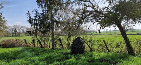 Maison à vendre à Cesson-Sévigné en Ille-et-Vilaine (35510), ref : 019/5197 MCB campagne