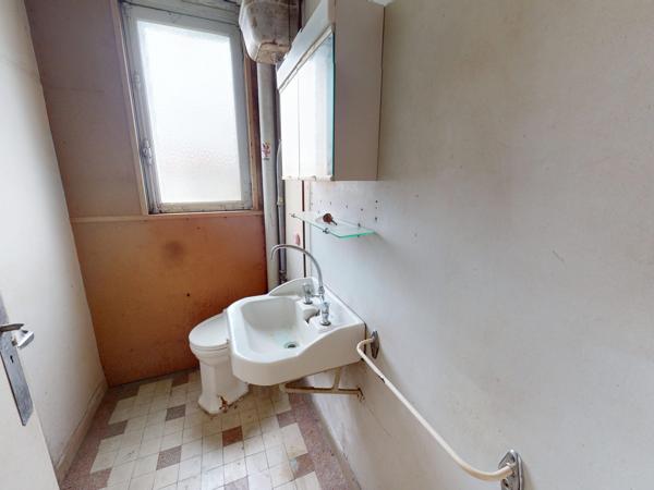 Lot complet de 1 commerce et de 2 appartements caves et jardins garage