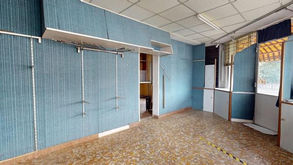 Lot complet de 1 commerce et de 2 appartements caves et jardins garage