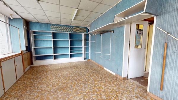 Lot complet de 1 commerce et de 2 appartements caves et jardins garage