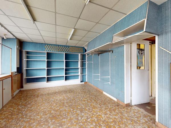 Lot complet de 1 commerce et de 2 appartements caves et jardins garage