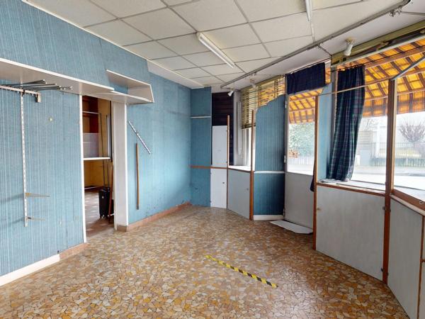 Lot complet de 1 commerce et de 2 appartements caves et jardins garage