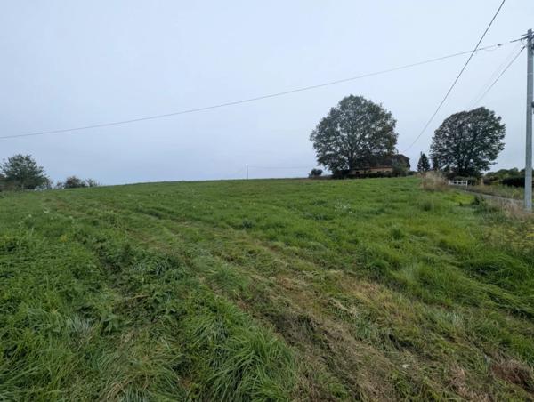 Vente                                                      Terrain
                        
                                         1684 m2                     à Gourdon