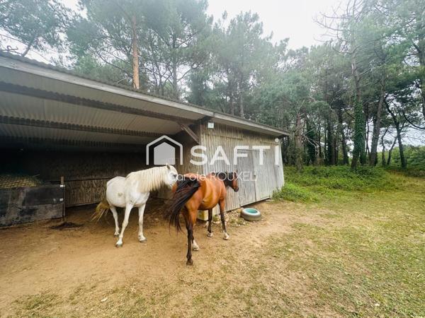 Propriété d'exception a 5 MIN de VANNES