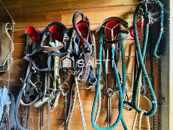 Propriété d'exception a 5 MIN de VANNES