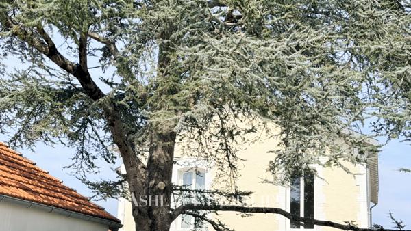 À VENDRE - RARE MAISON CHARME 1930 SPA JARDIN 5 CHAMBRES HAUT DE GAMME - NIEUL-SUR-MER