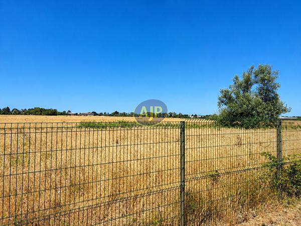 Maison à vendre Saint Jean De Monts - 4 pièces, 131m² avec 3 chambre(s) à 337 600€ - AJP Immobilier Saint-Jean-de-Monts