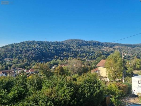 Achat - Maison | Chalet Saint-Maurice-sur-Moselle 88560 2 pièces 58 m 2 497 m 2