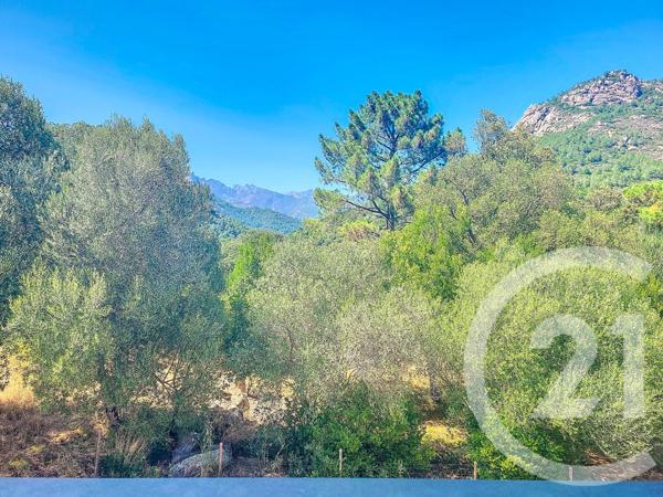 Appartement T2 à vendre  2 pièces - 45,80 m2 ZONZA - 201