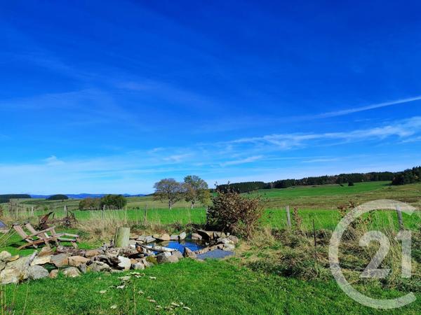 Maison à vendre  8 pièces - 375 m 2   FAY SUR LIGNON  - 43