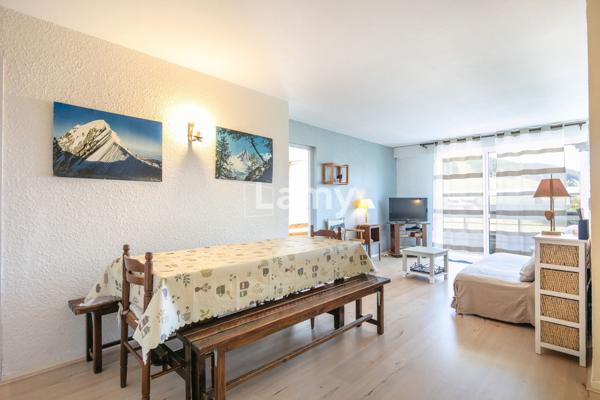 Appartement + cellier + casier à skis