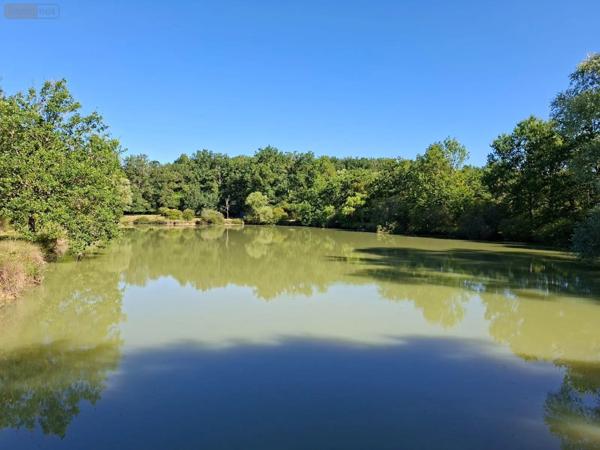 Achat - Terrain de loisirs, bois, étangs | Étang Vicq-Exemplet 36400 12100 m 2