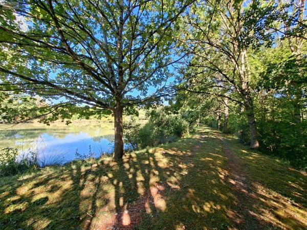 Achat - Terrain de loisirs, bois, étangs | Étang Vicq-Exemplet 36400 12100 m 2