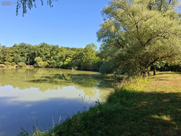Achat - Terrain de loisirs, bois, étangs | Étang Vicq-Exemplet 36400 12100 m 2