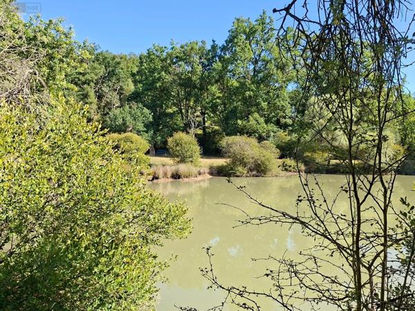Achat - Terrain de loisirs, bois, étangs | Étang Vicq-Exemplet 36400 12100 m 2