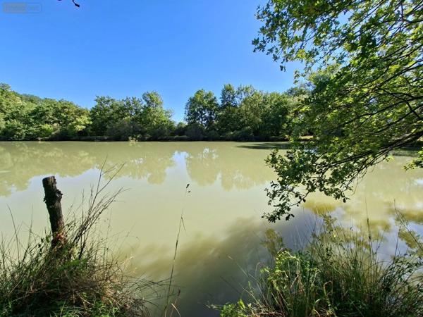 Achat - Terrain de loisirs, bois, étangs | Étang Vicq-Exemplet 36400 12100 m 2