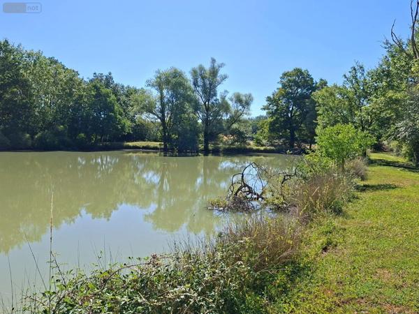 Achat - Terrain de loisirs, bois, étangs | Étang Vicq-Exemplet 36400 12100 m 2