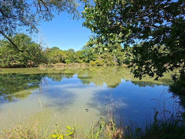 Achat - Terrain de loisirs, bois, étangs | Étang Vicq-Exemplet 36400 12100 m 2