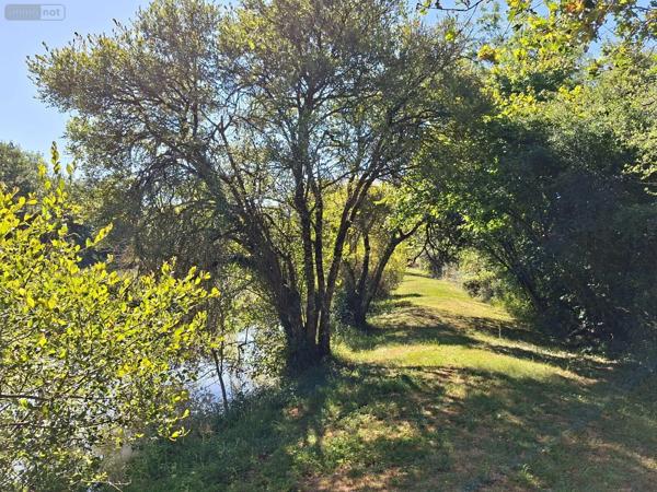 Achat - Terrain de loisirs, bois, étangs | Étang Vicq-Exemplet 36400 12100 m 2