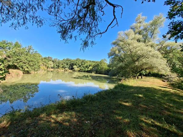 Achat - Terrain de loisirs, bois, étangs | Étang Vicq-Exemplet 36400 12100 m 2