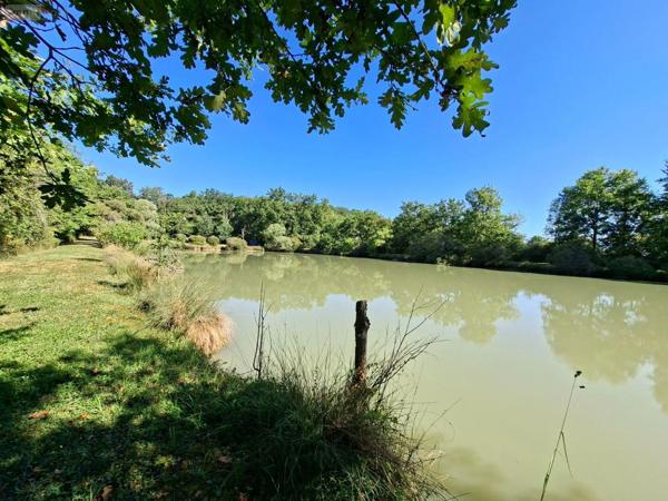 Achat - Terrain de loisirs, bois, étangs | Étang Vicq-Exemplet 36400 12100 m 2
