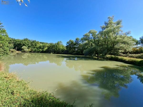Achat - Terrain de loisirs, bois, étangs | Étang Vicq-Exemplet 36400 12100 m 2