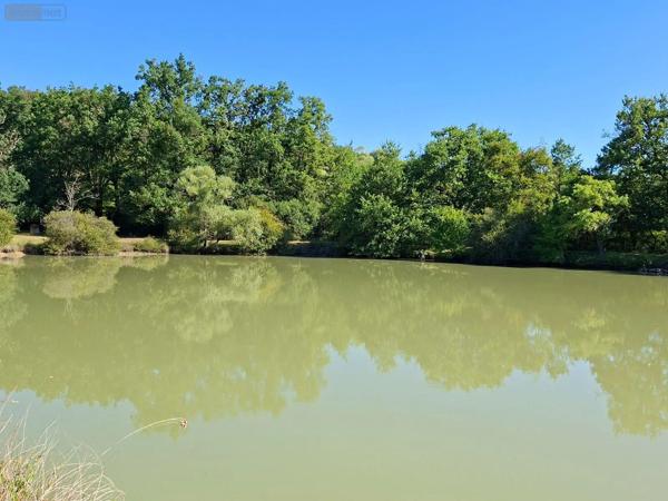 Achat - Terrain de loisirs, bois, étangs | Étang Vicq-Exemplet 36400 12100 m 2