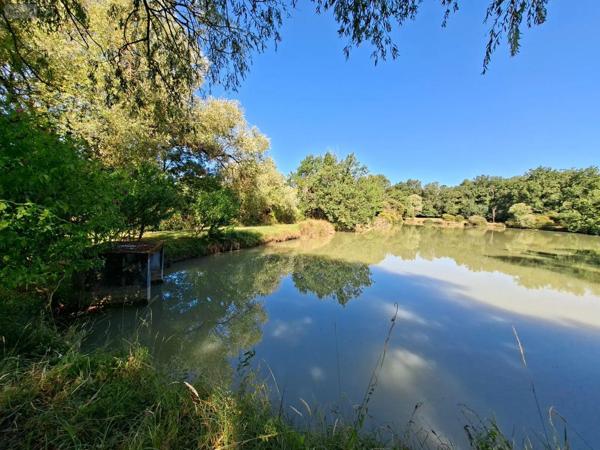 Achat - Terrain de loisirs, bois, étangs | Étang Vicq-Exemplet 36400 12100 m 2