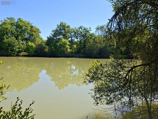 Achat - Terrain de loisirs, bois, étangs | Étang Vicq-Exemplet 36400 12100 m 2