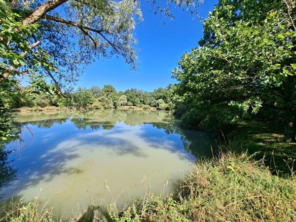 Achat - Terrain de loisirs, bois, étangs | Étang Vicq-Exemplet 36400 12100 m 2
